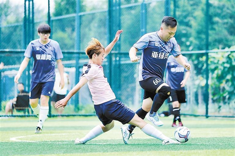 雷速体育直播平台